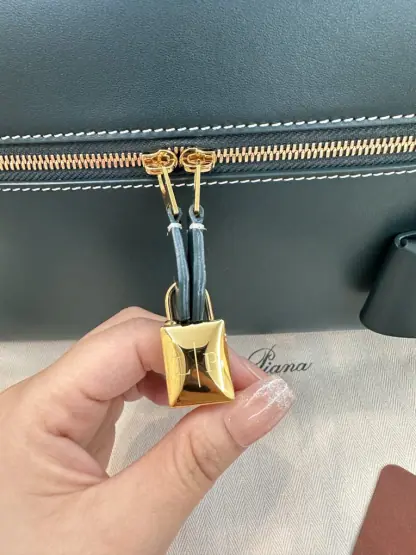  Loro Piana Extra Bag L27 Calfskin #3071 - Image 5