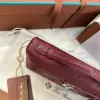  Loro Piana Extra Pocket L19 Bag Ostrich Leather Sliver Hardware #3027 - Image 5