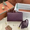 Loro Piana Extra Pocket L19 Bag Ostrich Leather Golden Hardware #3031 - Image 2