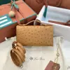  Loro Piana Extra Pocket L19 Bag Ostrich Leather Sliver Hardware #3028 - Image 8