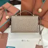  Loro Piana Extra Bag L27 Ostrich Leather #3079 - Image 5
