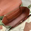  Loro Piana Small Ghiera bag Calfskin #3083 - Image 2