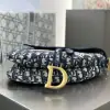  Saddle Bag Blue Dior Oblique Embroidery #3257 - Image 5