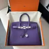  Hermes Birkin 25cm 9W Crocus Handmade Hand Stitching Epsom Sliver #3520 - Image 12