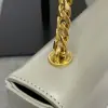 REPLICA CELINE CHAIN SHOULDER BAG CLAUDE IN SHINY CALFSKIN GREY #3940 - Image 3