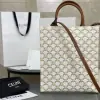 REPLICA CELINE SMALL CABAS VERTICAL IN TRIOMPHE CANVAS AND CALFSKIN 191542 WHITE #3967 - Image 14