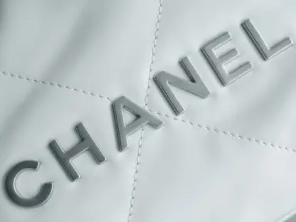REPLICA CHANEL 22 MINI HANDBAG CALFSKIN WHITE & SLIVER HARDWARE 2025 #4042 - Image 4